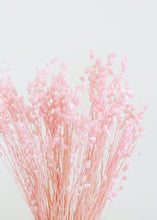 Load image into Gallery viewer, Pink Dried Briza Maxima Grass
