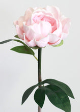 Load image into Gallery viewer, Real Touch Peony in Pink - 18" Tall
