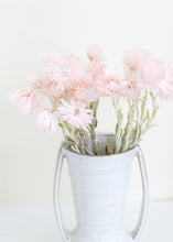 Load image into Gallery viewer, Dried Mini Silver Daisy in Pink
