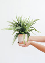 Load image into Gallery viewer, Artificial Potted Fern- 14" Tall
