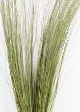 Load image into Gallery viewer, Dried Fountain Grass
