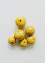 Load image into Gallery viewer, Lemon Bellani Balls
