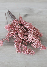 Load image into Gallery viewer, Preserved Pepper Berries in Pink
