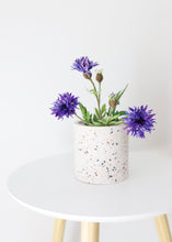 Load image into Gallery viewer, Terrazzo Flower Pots with Liner - 4.5" Tall x 4.5" Wide
