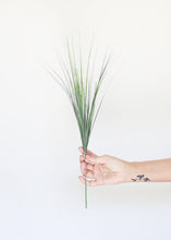 Load image into Gallery viewer, Artificial Onion Grass Spray in Green - 20" Tall
