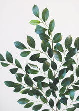 Load image into Gallery viewer, Silk Italian Ruscus Stem - 26" Tall
