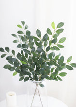 Load image into Gallery viewer, Silk Italian Ruscus Stem - 26" Tall
