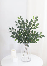 Load image into Gallery viewer, Silk Italian Ruscus Stem - 26" Tall
