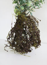 Load image into Gallery viewer, Fake Plant with Flocked Button Leaves and Roots - 14" Tall
