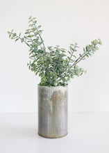 Load image into Gallery viewer, Fake Plant with Flocked Button Leaves and Roots - 14" Tall
