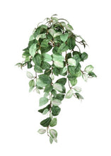 Load image into Gallery viewer, Artificial Hanging Hoya Leaf Bush
