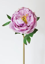 Load image into Gallery viewer, Real Touch Lavender Fake Peony - 22" Tall
