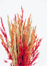 Load image into Gallery viewer, Red Assorted Dried Oats and Grass Bouquet - 25" Tall
