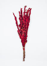 Load image into Gallery viewer, Red Preserved Myrtle Leaf Foliage Bouquet - 24" Tall
