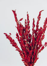 Load image into Gallery viewer, Red Preserved Myrtle Leaf Foliage Bouquet - 24" Tall
