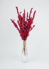 Load image into Gallery viewer, Red Preserved Myrtle Leaf Foliage Bouquet - 24" Tall
