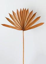 Load image into Gallery viewer, Pack of 5 - Terracotta Orange Sun Palms
