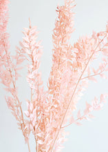 Load image into Gallery viewer, Preserved Ruscus Leaves in Pink
