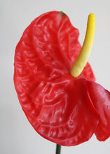 Load image into Gallery viewer, Red Artificial Anthurium Tropical Flower - 27.5" Tall

