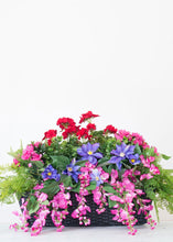 Load image into Gallery viewer, Indoor/Outdoor Boxwood Bush - 12" Tall
