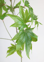 Load image into Gallery viewer, Fake Marijuana Leaves Spray - 39" Tall
