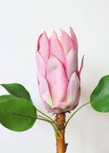 Load image into Gallery viewer, Tropical Fake Flowers King Protea in Pink - 23" Tall
