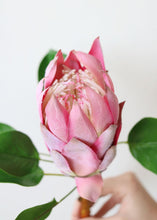 Load image into Gallery viewer, Tropical Fake Flowers King Protea in Pink - 23" Tall
