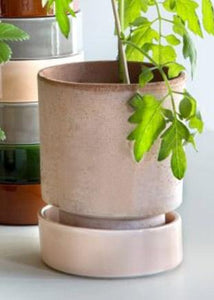 Antique Pink Terracotta Pot with Glazed Saucer - 6.5" Tall x 5.5" Wide with Drainage