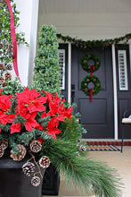 Load image into Gallery viewer, Indoor/Outdoor Water Resistant Artificial Poinsettia Bush in Red
