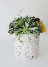 Load image into Gallery viewer, Terrazzo Flower Pots with Liner - 4.5" Tall x 4.5" Wide
