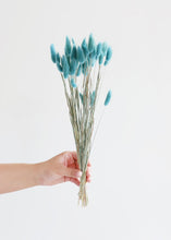 Load image into Gallery viewer, Turquoise Dried Bunny Tails
