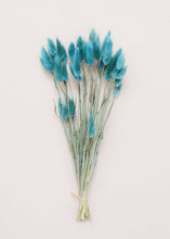 Load image into Gallery viewer, Turquoise Dried Bunny Tails
