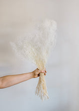 Load image into Gallery viewer, Bleached Stardust Gypsophila

