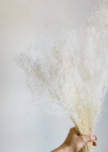 Load image into Gallery viewer, Bleached Stardust Gypsophila
