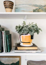 Load image into Gallery viewer, Artificial Watermelon Peperomia Plant

