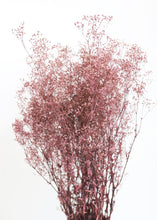 Load image into Gallery viewer, Preserved Stardust Gypsophila in Mauve Brown
