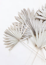 Load image into Gallery viewer, Pack of 5 - Whitewashed Natural Sun Palms
