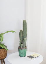 Load image into Gallery viewer, Fake Column Cactus Plant in Terra Cotta Pot - 25"
