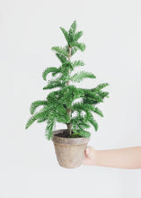 Load image into Gallery viewer, Mini Fake Holiday Pine Tree in Terracotta Plant Stand - 22" Tall
