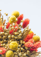 Load image into Gallery viewer, Yellow Billy Button and Coral Grass Dried Flower Bouquet - 20" Tall
