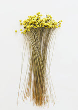 Load image into Gallery viewer, Yellow Dried Floral Buttons
