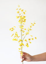 Load image into Gallery viewer, Yellow Oncidium Orchid Silk Flower - 39"
