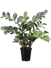 Load image into Gallery viewer, Tropical ZZ Artificial House Plant in Pot - 25" Tall
