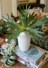 Load image into Gallery viewer, Distressed White Ceramic Hari Vase - 6.25" Tall
