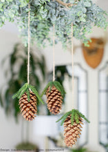 Load image into Gallery viewer, Box of 100 Natural Medium Pine Cones - 3-5" Long
