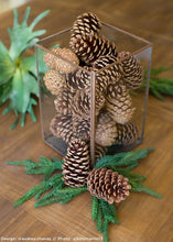 Load image into Gallery viewer, Box of 100 Natural Medium Pine Cones - 3-5" Long

