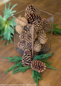 100 Pinecones, 50 Medium + 50 Small Pine Cones in A Protective Box, Unscented, Perfect for Crafts, Christmas Trees, Firelighting, 50 x Medium Cones