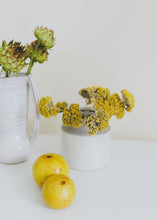 Load image into Gallery viewer, Pack of 12 - Dried Natural Coastal Yarrow
