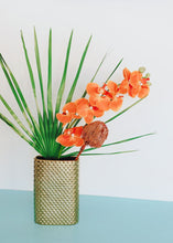 Load image into Gallery viewer, Pack of 2 - Dried Banksia in Orange
