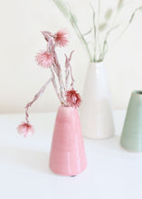 Load image into Gallery viewer, Dried Mini Silver Daisy in Mauve
